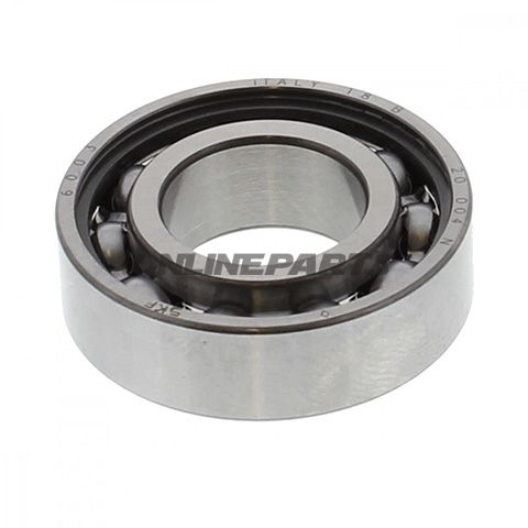 Roller Bearing 6003 Skfntn 7420805