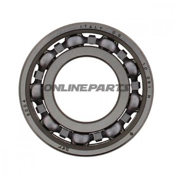 Roller Bearing 6004 Skfntn 7420813