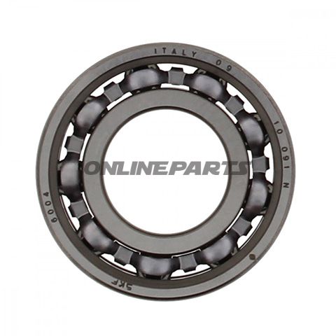 Roller Bearing 6004 Skfntn 7420813