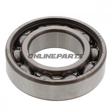 Roller Bearing 6005 Skfntn 7420821