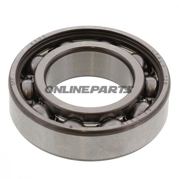 Roller Bearing 6005 Skfntn 7420821