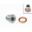 Probolt Sump Bolt Magneticm14x1.50 Mit Dichtring