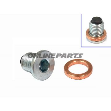 Probolt Sump Bolt Magneticm14x1.50 Mit Dichtring