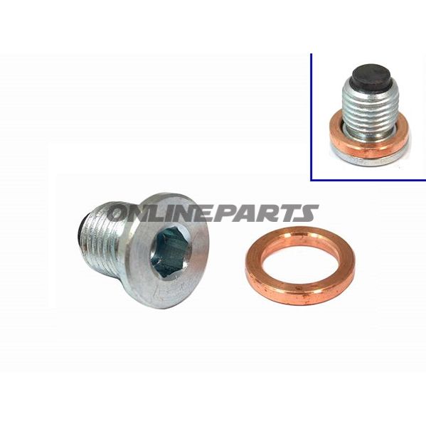 Probolt Sump Bolt Magneticm14x1.50 Mit Dichtring