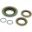 Differential Repair Kit All Balls Racing