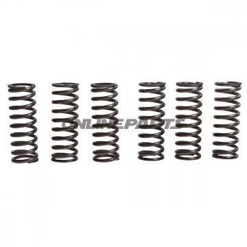 Clutch Spring Kit Reinforced Trwcont 6 Pcs