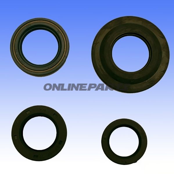 Engine Oil Seal Kit