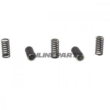 Clutch Spring Kit (5)Trw/ Lucas