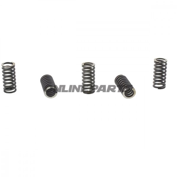 Clutch Spring Kit (5)Trw/ Lucas