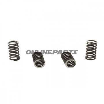 Clutch Spring Kit (4)Trw/ Lucas