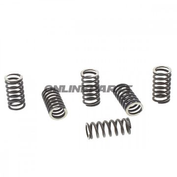 Clutch Spring Kit (6)Trw/ Lucas