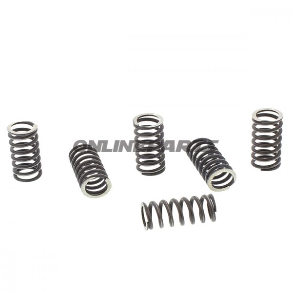 Clutch Spring Kit (6)Trw/ Lucas