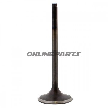 Valve Exhauststeel