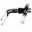 Throttle Cable Sethonda Crf 250-450 ´14