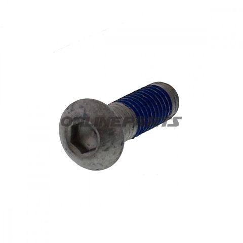 Brake Disc Boltm6x1.0X20 Mm