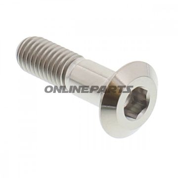 Screw Rear Sprocket Proboltm8x1.25Mm 31Mm Titan