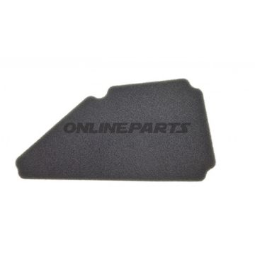 Air Filter (Orig Spare Part)