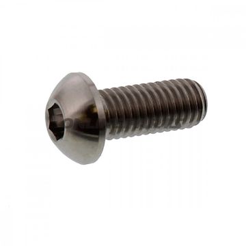 Brake Disc Screw Proboltm8x1.25Mm 20Mm Titan