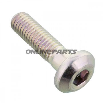 Sprocket Bolt Oem8x1.25X30 Mm