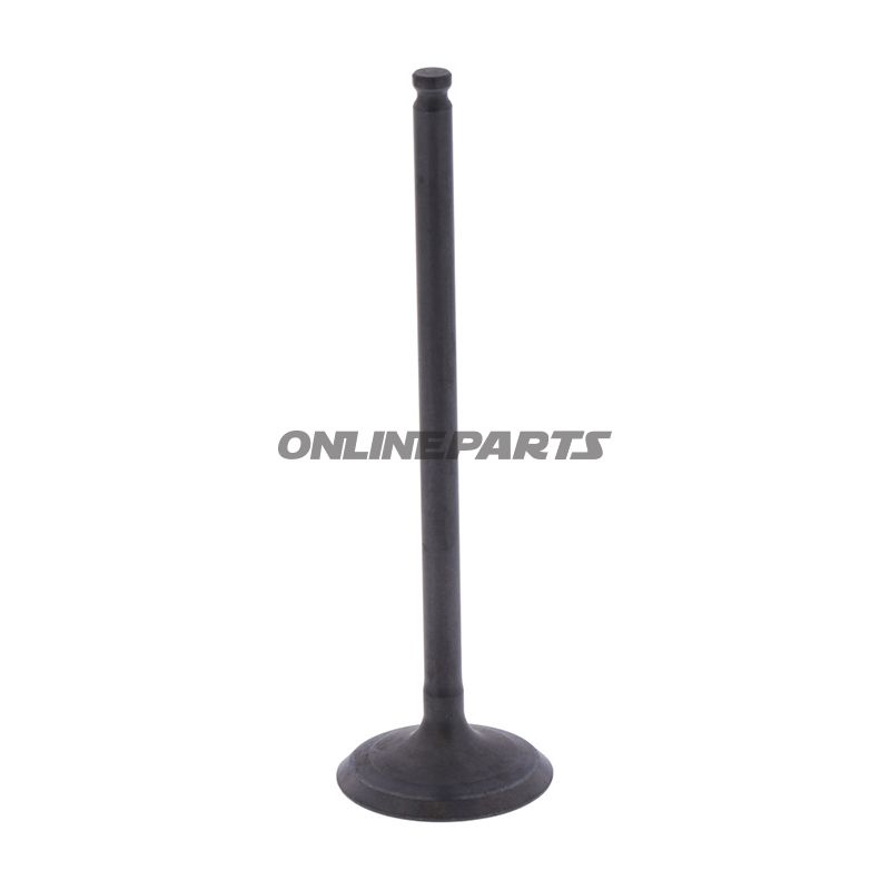 Outlet Valve (Orig Spare Part)
