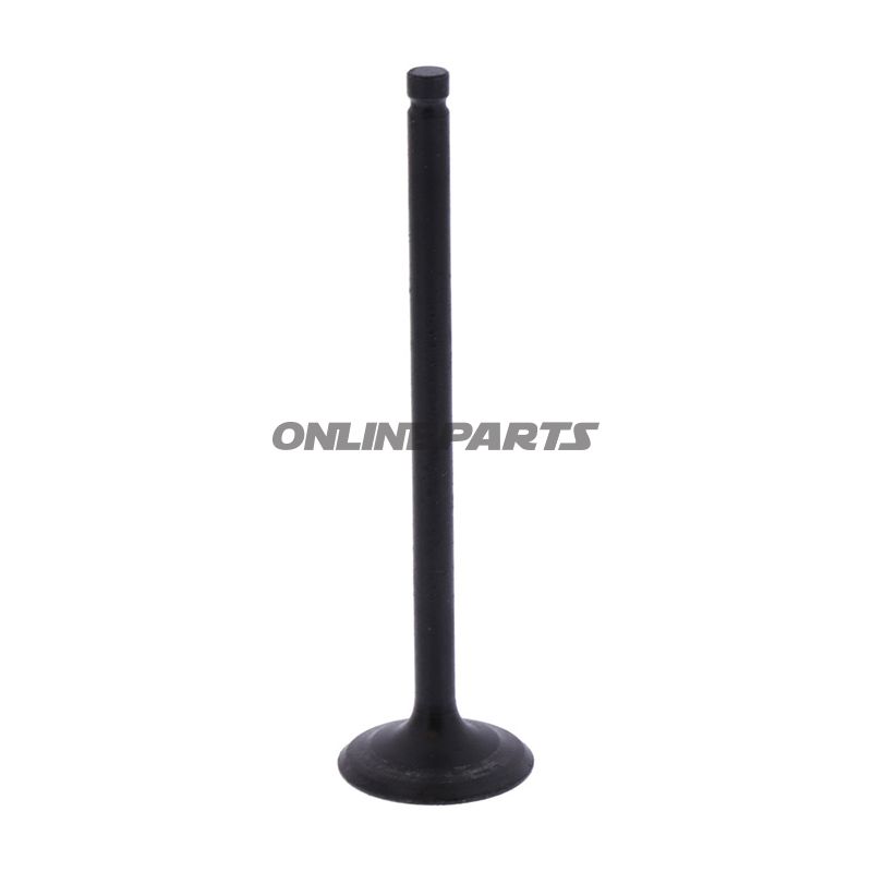 Outlet Valve (Orig Spare Part)