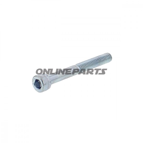 Cylinder Head Screw For Taa2.50 Dg M6x50 Verzinkt