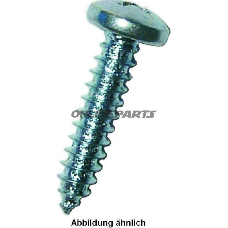 Screws 4.8X32 Din7981 Galv Pack 100 Pieces