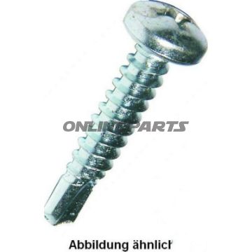 Self Drill Screws 3.9X25 Plated 7504M100 Pieces