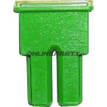 Fuses Pal As 40A Bli1grün
