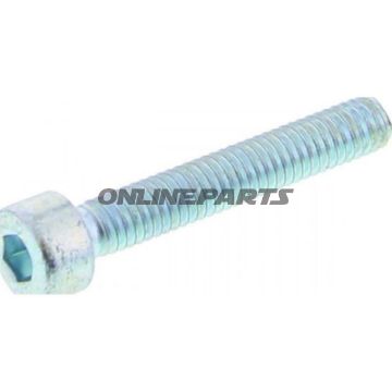 Cap Head Allen Bolt M4x251 Piece