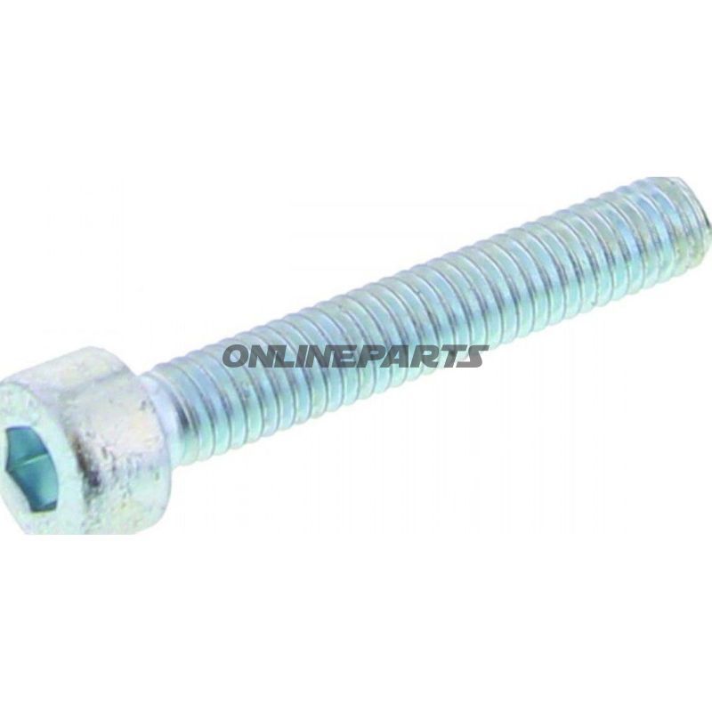Cap Head Allen Bolt M4x251 Piece