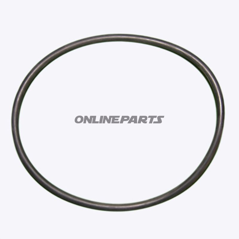 O-Ring Ttap 172Mm 980069
