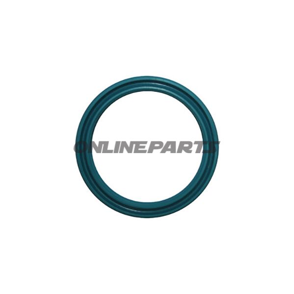Lippenring Twin Ram 35Neu Ab Bj:2003