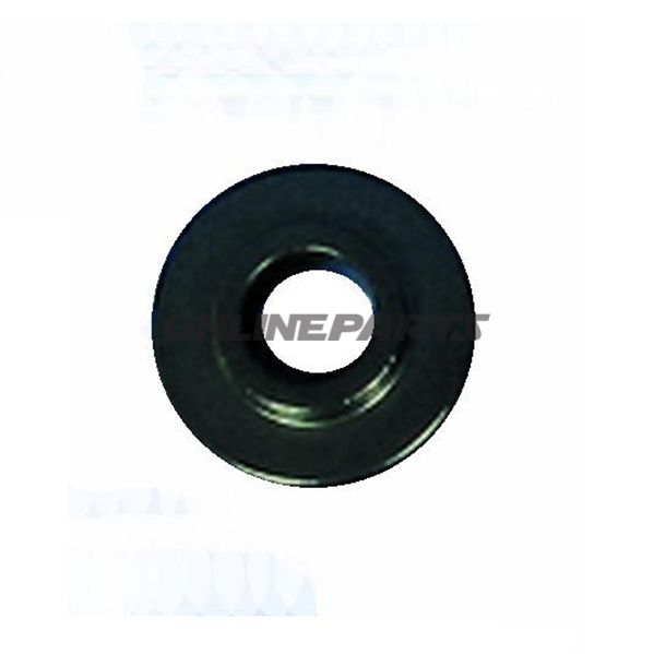 Pressure Plate 55.5 Mmfuer Set 6172035