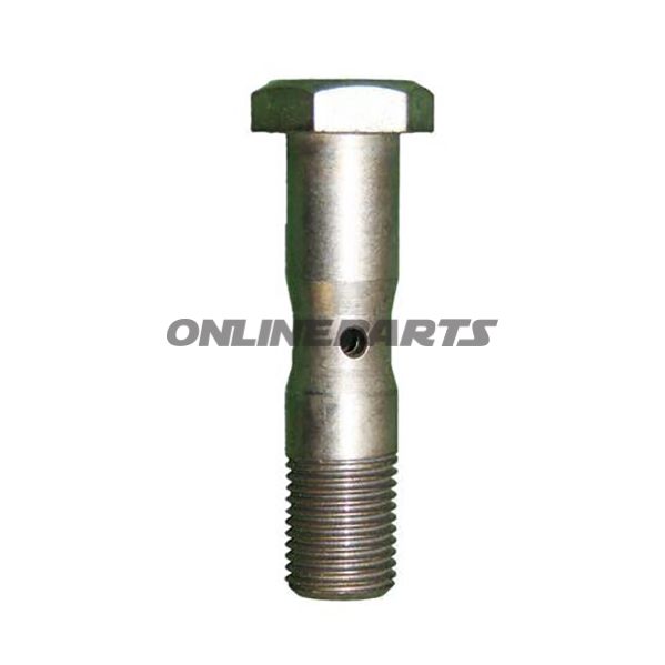 Hollow Screw 19X60 Mm030uln02066