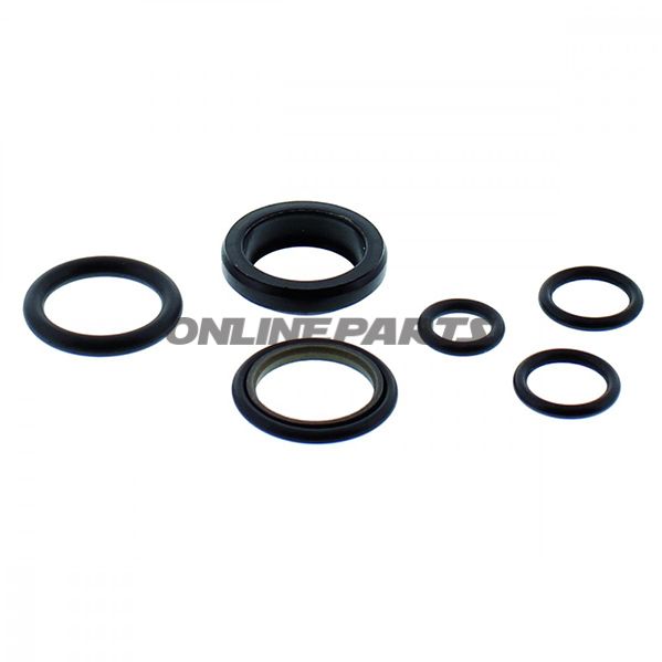 Seal Kit Sprinterventilnussbaum 162456