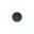 Tastenschild Start Greennussbaum 991045