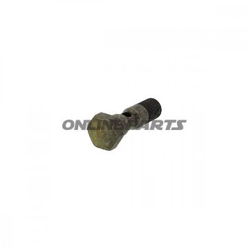 Hollow Screw Tts/Ttl19x46 Mm