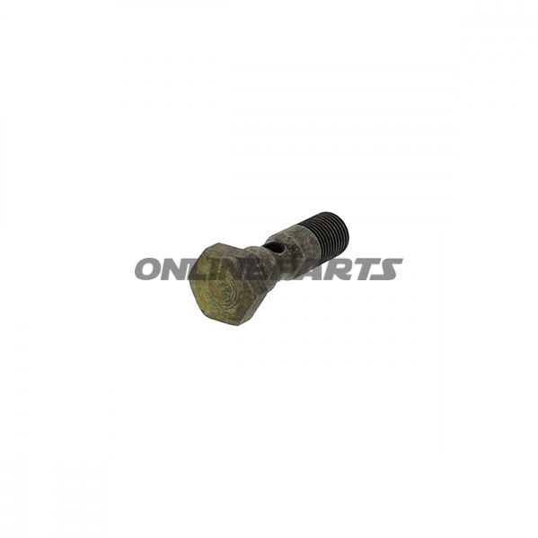 Hollow Screw Tts/Ttl19x46 Mm