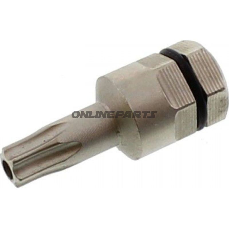 Bit Torx T25 Mit Bohrung 5/16 6 Kant5/16=8Mm Für 6320005