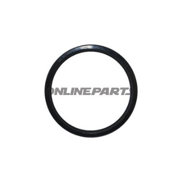 Shaft Seal Hofmannduolift 1663348