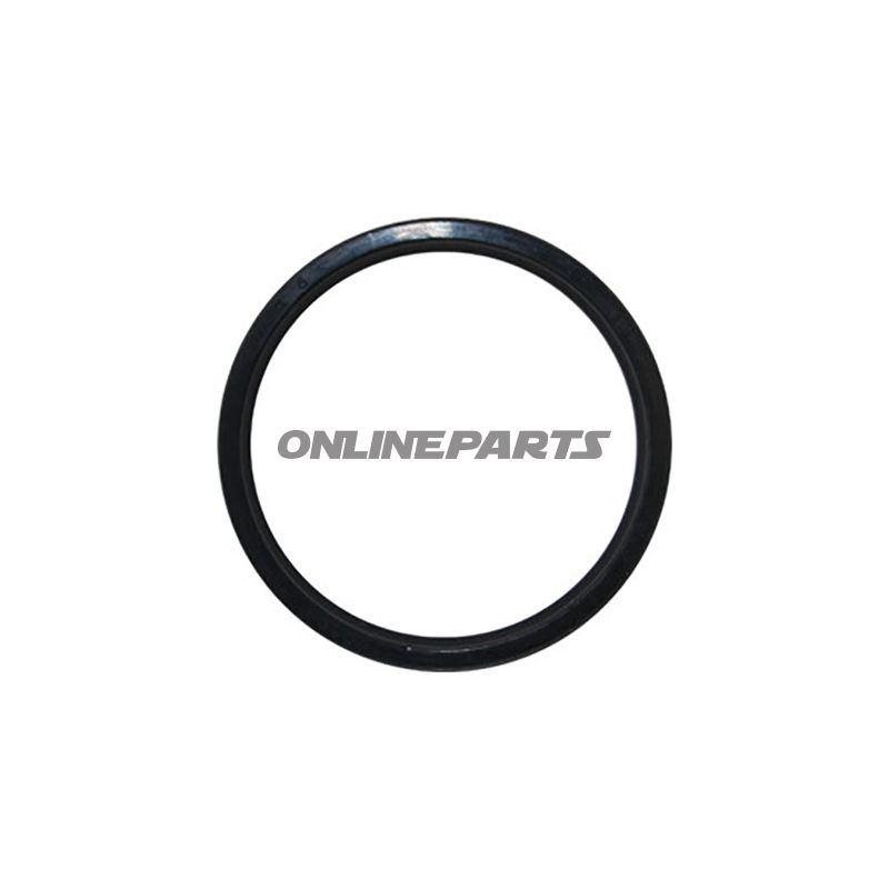 Shaft Seal Hofmannduolift 1663348