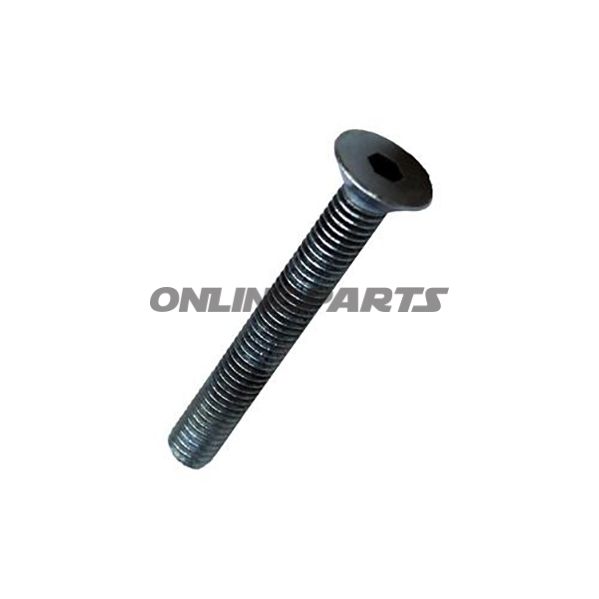 Senkschraube 8X60 Montyfür Spannklaue C7905702