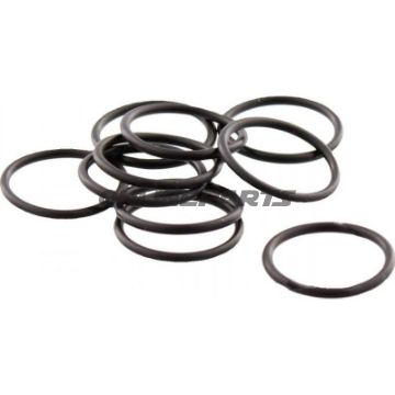 O-Ringe Replacement 10Stfür 6110013