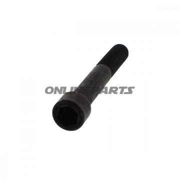 Schraube For. Abdruecksch-Aufel M14x100 Monty 3300