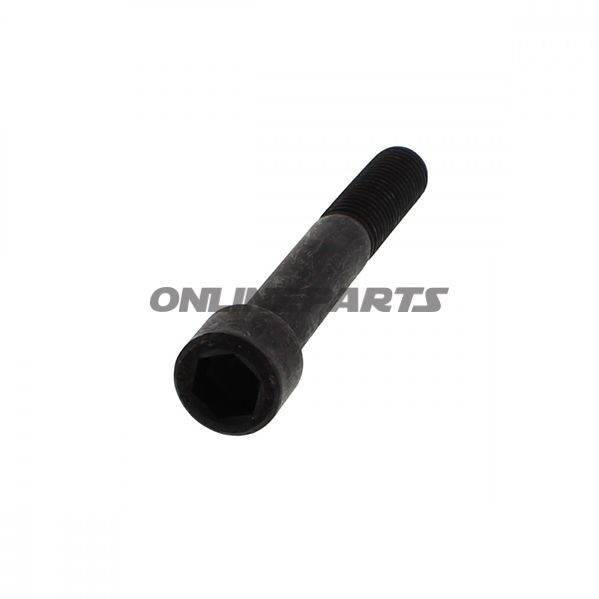 Schraube For. Abdruecksch-Aufel M14x100 Monty 3300