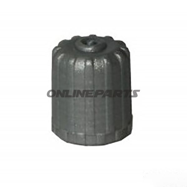 Plastic Schrader Valve Cap Greypack Of 25
