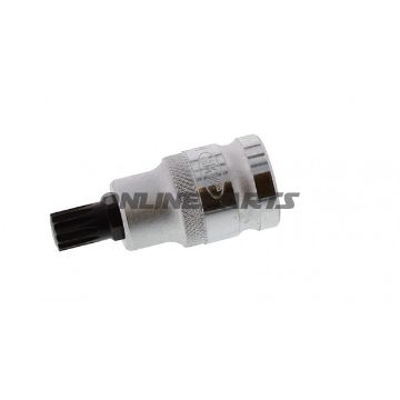 Insert Vielzahn 1/2 M10length 55Mm
