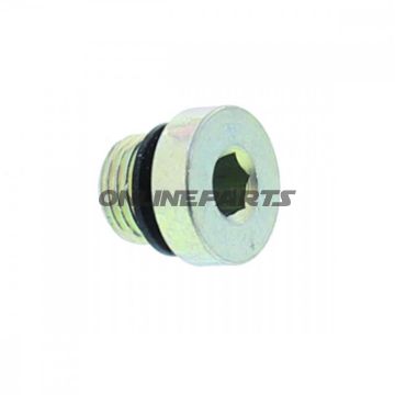Breather Screw. Ts-Cylinder.2.35 Ts Nussbaum 131656