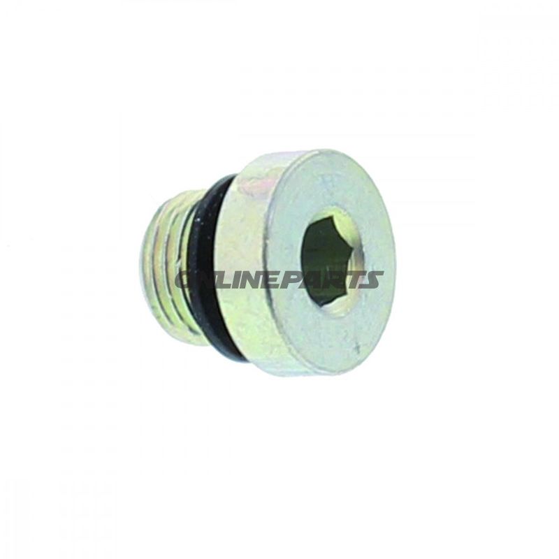 Breather Screw. Ts-Cylinder.2.35 Ts Nussbaum 131656